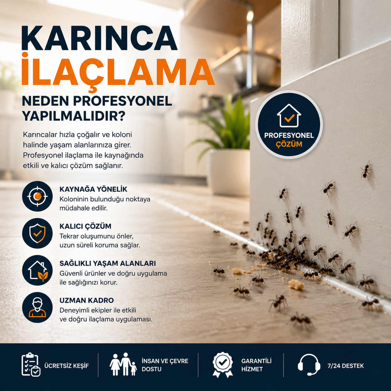 Karınca İlaçlama Neden Profesyonel Yapılmalıdır?